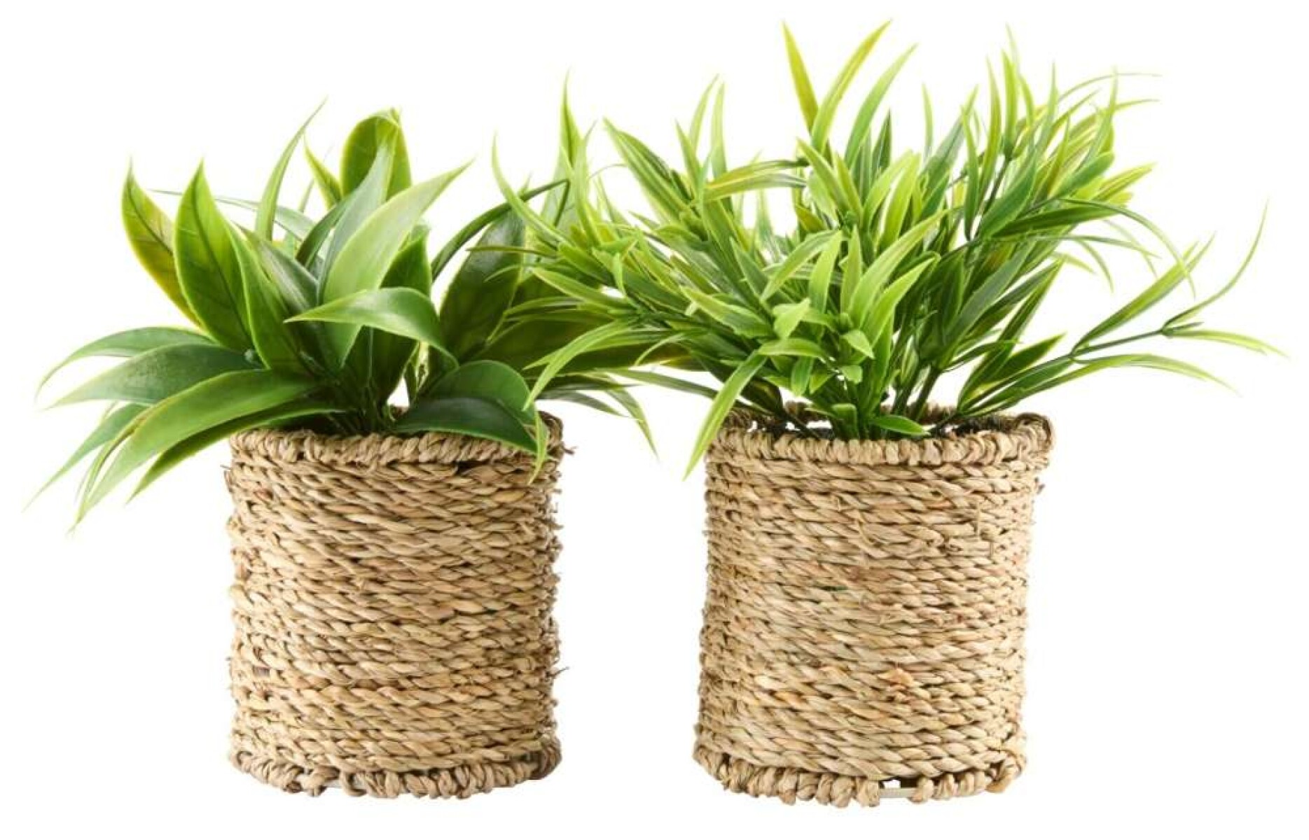 Planta Artificial Bertram Ø8Xa18Cm - Surtidas 