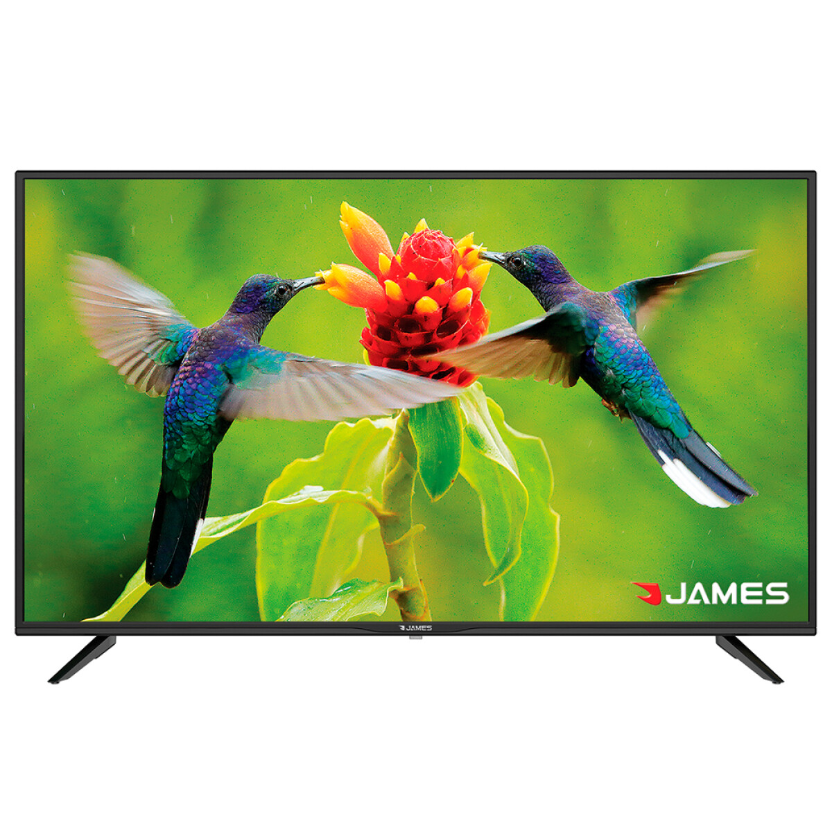 TV SMART James 43'' FULL HD 