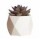 Mini Planta Artificial Decorativa Maceta Rombos en Cemento Lila