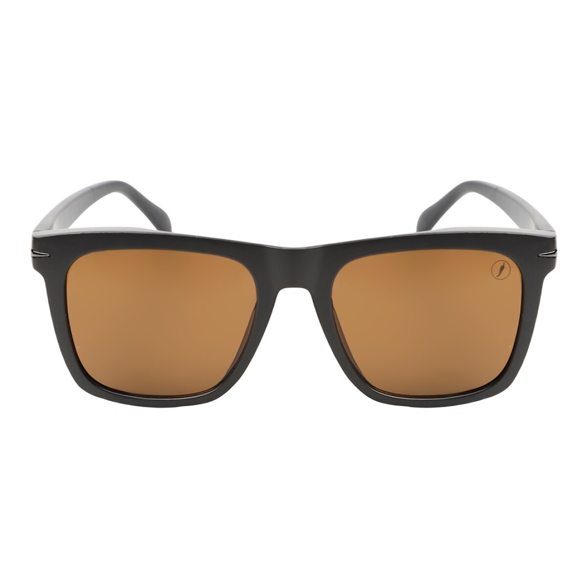 Lentes de Sol Chilli Beans Hamburgo - Marrón 