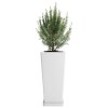 Macetero Piramidal 45 Blanco c/Plato, Alto 45cm x 21.5cm Ancho Boca x 15.6 Base, 20 lts Macetero Piramidal 45 Blanco c/Plato, Alto 45cm x 21.5cm Ancho Boca x 15.6 Base, 20 lts