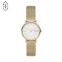 Reloj SKAGEN SIGNATURE Acero Dorado Esfera 30mm 0