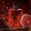 Set Polo Red Edt 40 ml + Blue Edt 40 ml + 67 Edt 40 ml Set Polo Red Edt 40 ml + Blue Edt 40 ml + 67 Edt 40 ml