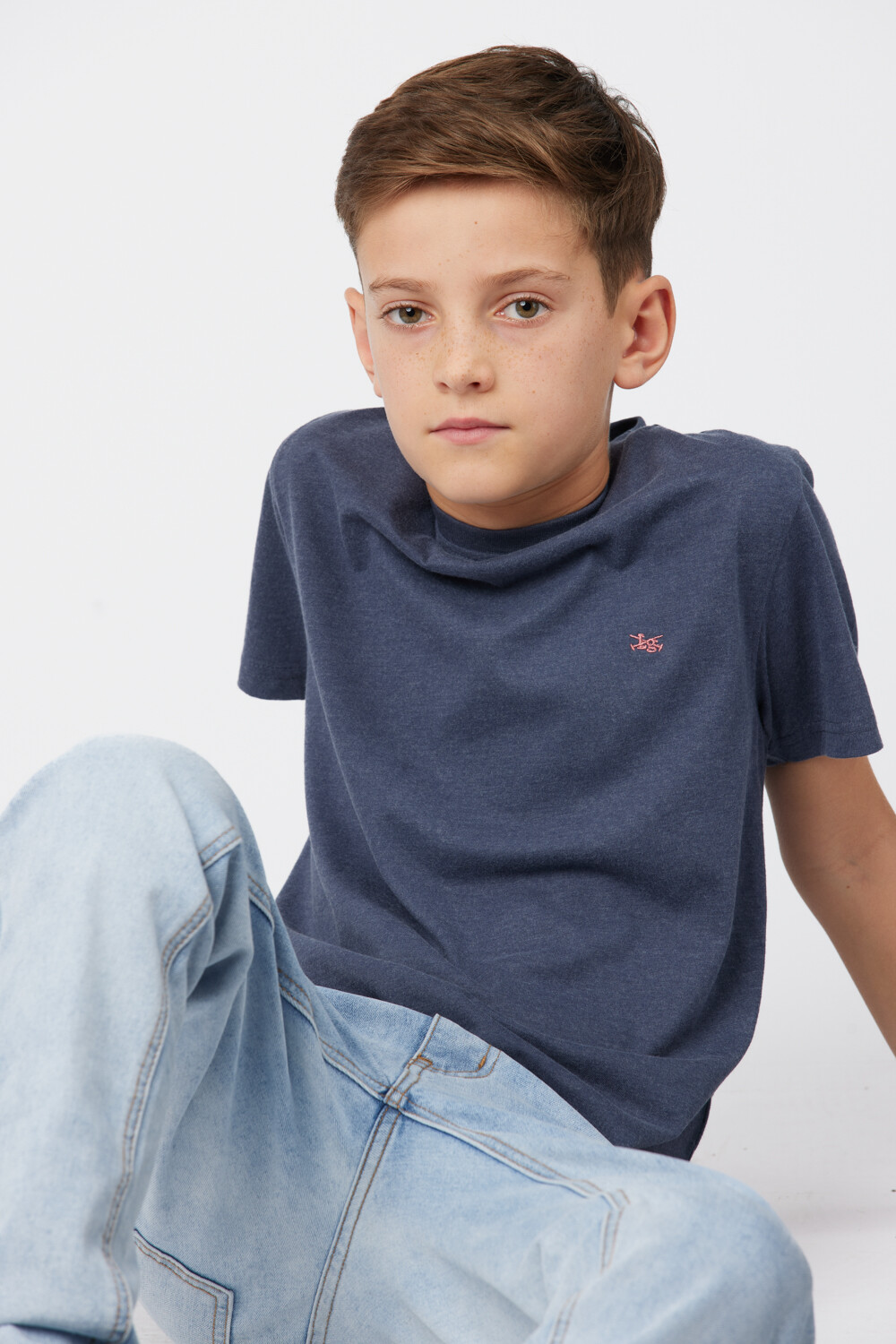 REMERA BÁSICA DE ALGODÓN Denim