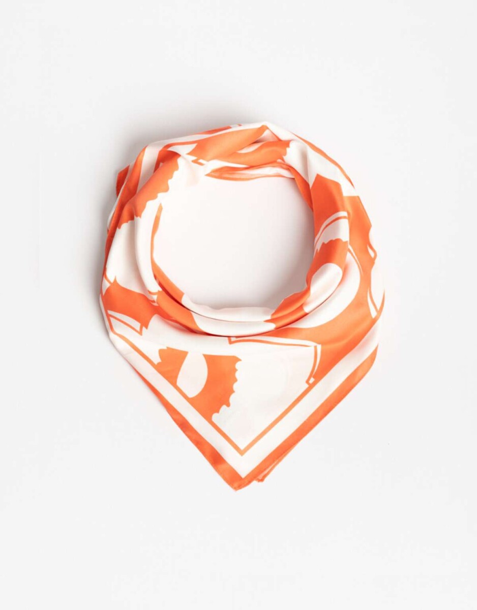 Pañuelo Estampado - Combinacion Bicolor 