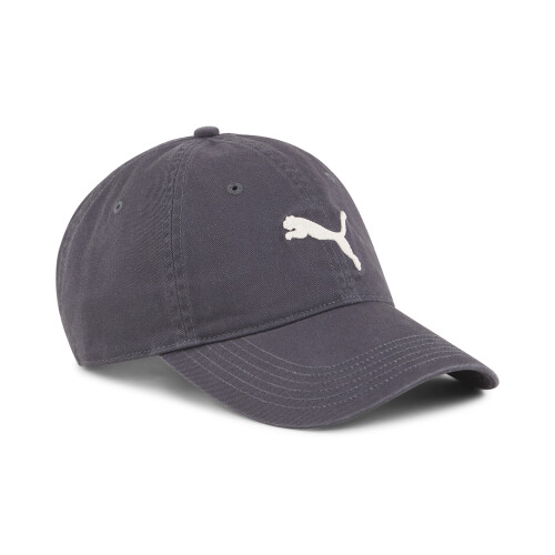 CLASSICS ELEVATED DAD CAP Gris