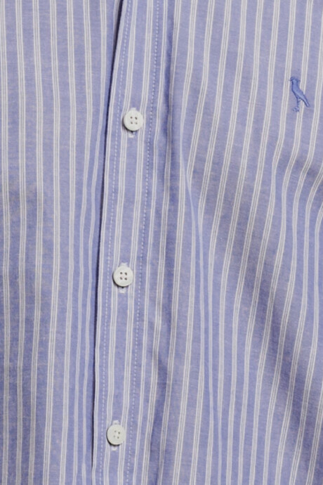 CAMISA ROTEN POLANCO Celeste Rayas