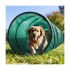 Tunel Gigante Perro Gato Mascota Redondo Tubo Interactivo Variante Color Verde Agua
