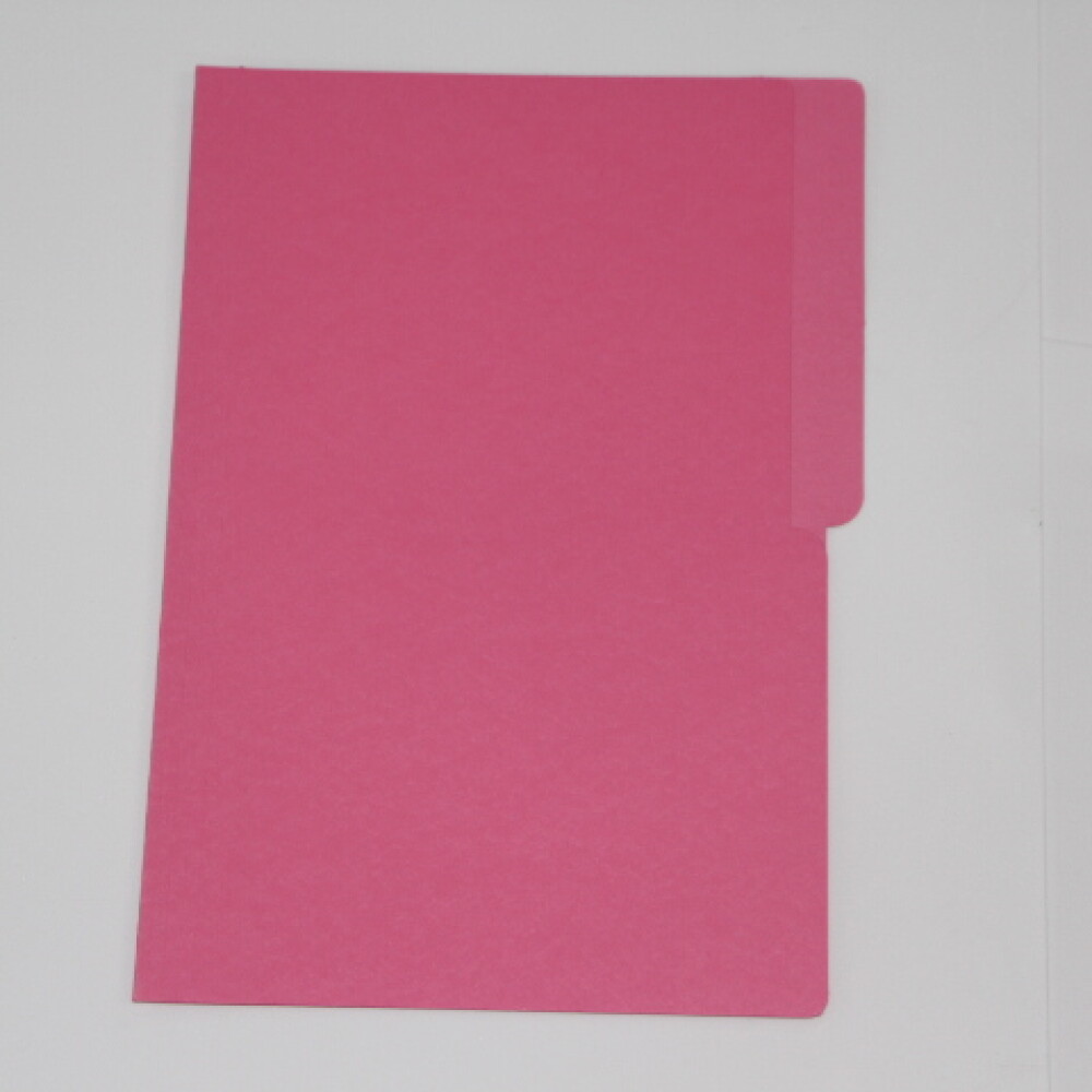 CARPETA PAPIRO PARA FICHERO 20 ROSADO