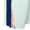 SHORT CR7 ACADEMY BIG KIDS DRI FIT 394