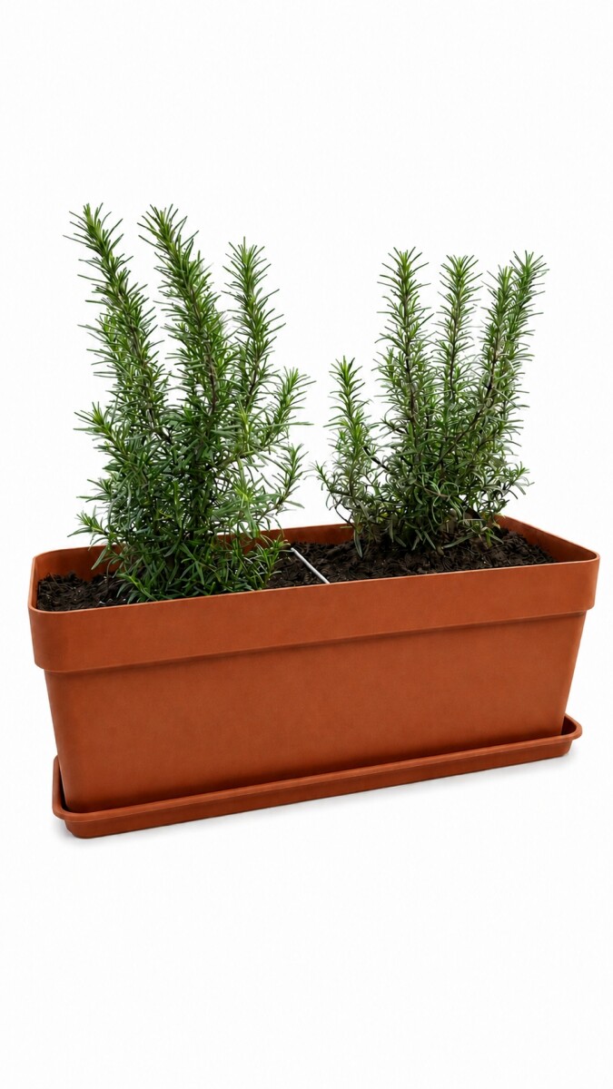 JARDINERA CON ROMEROS - TERRACOTA 