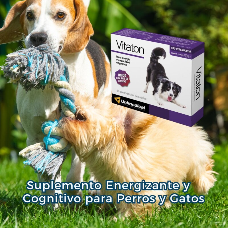 VITATON SUPLEMENTO ENERGIZANTE Y COGNITIVO X CAJA DE 30 COMPRIMIDOS