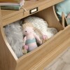 Biblioteca Infantil 2 Cajones - Sauder - Linea Storybook Biblioteca Infantil 2 Cajones - Sauder - Linea Storybook
