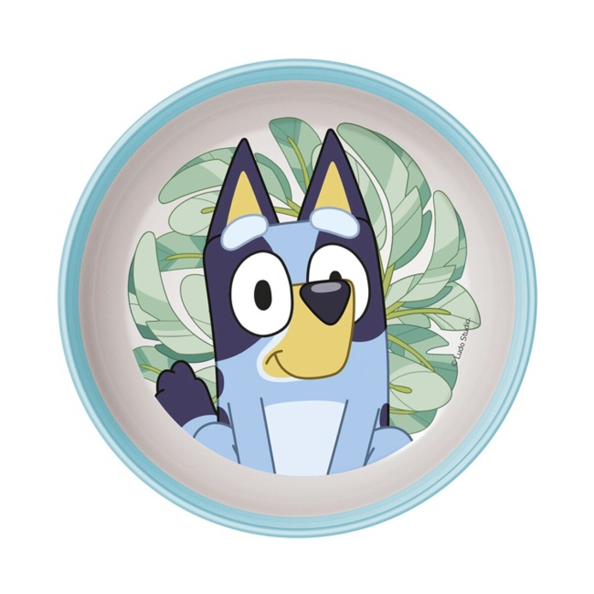 BOWL CELESTE Y BLANCO BLUEY 