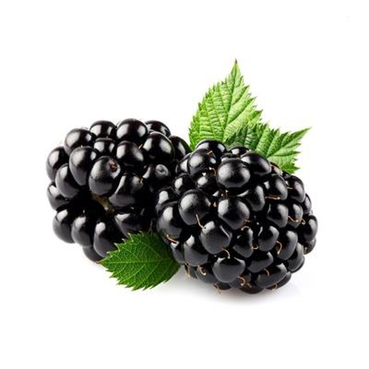 Moras enteras Ártico - 1 kg 