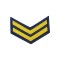 Grado de cadetes Escuela Nacional de Policía Sargento