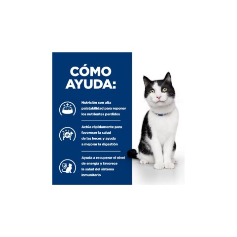 Hill's Gato I/D 1,8kg | Salud Digestiva y Bienestar Hill's Gato I/D 1,8kg | Salud Digestiva y Bienestar