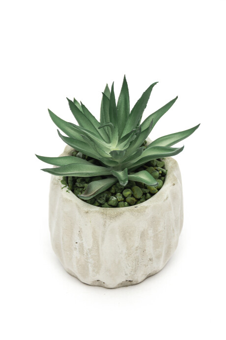Planta Lavi Color Unico