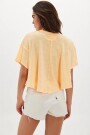 REMERA ELSIE SWING Gris