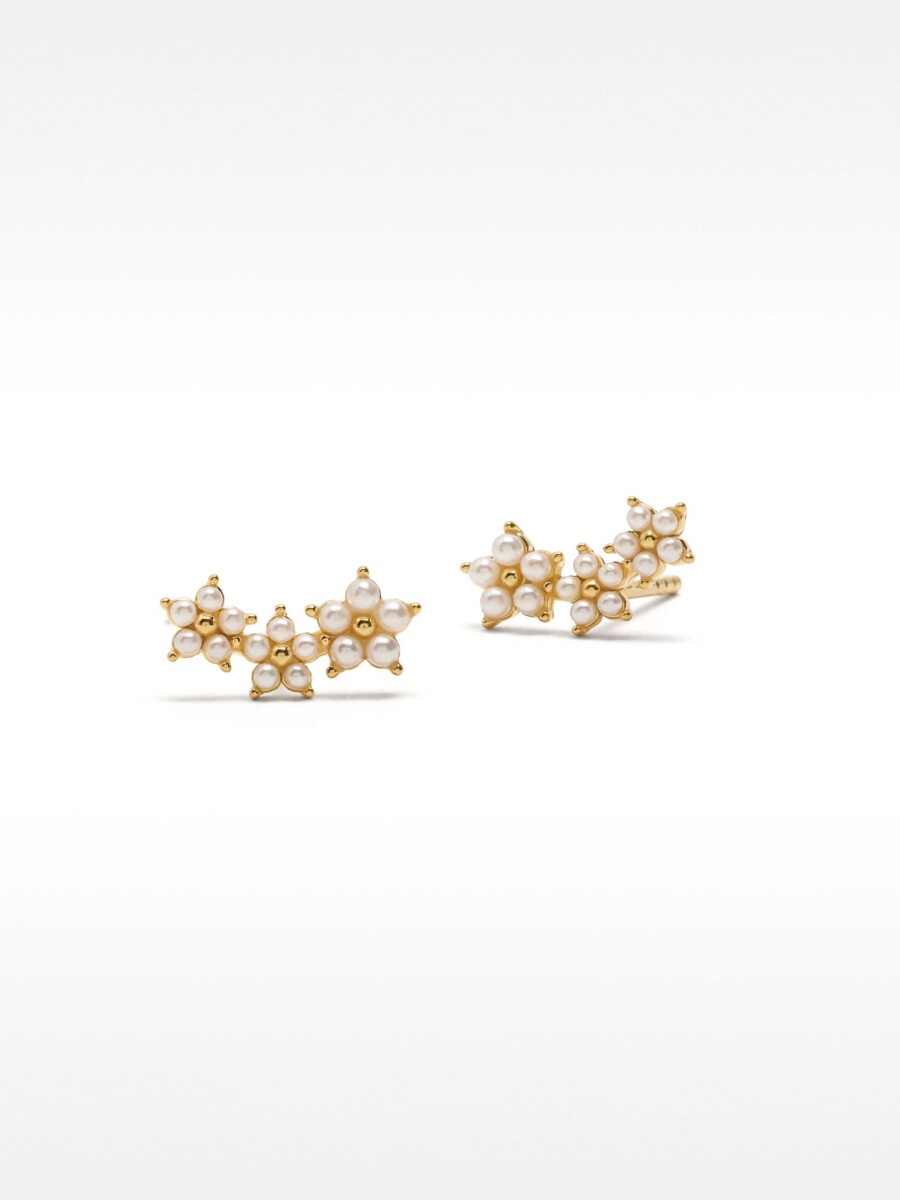 Pendientes Con Circonitas - Plata De Ley 925 dorado