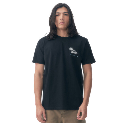 Quiksilver Remera PALM ISLAND Hombre - Negro Negro