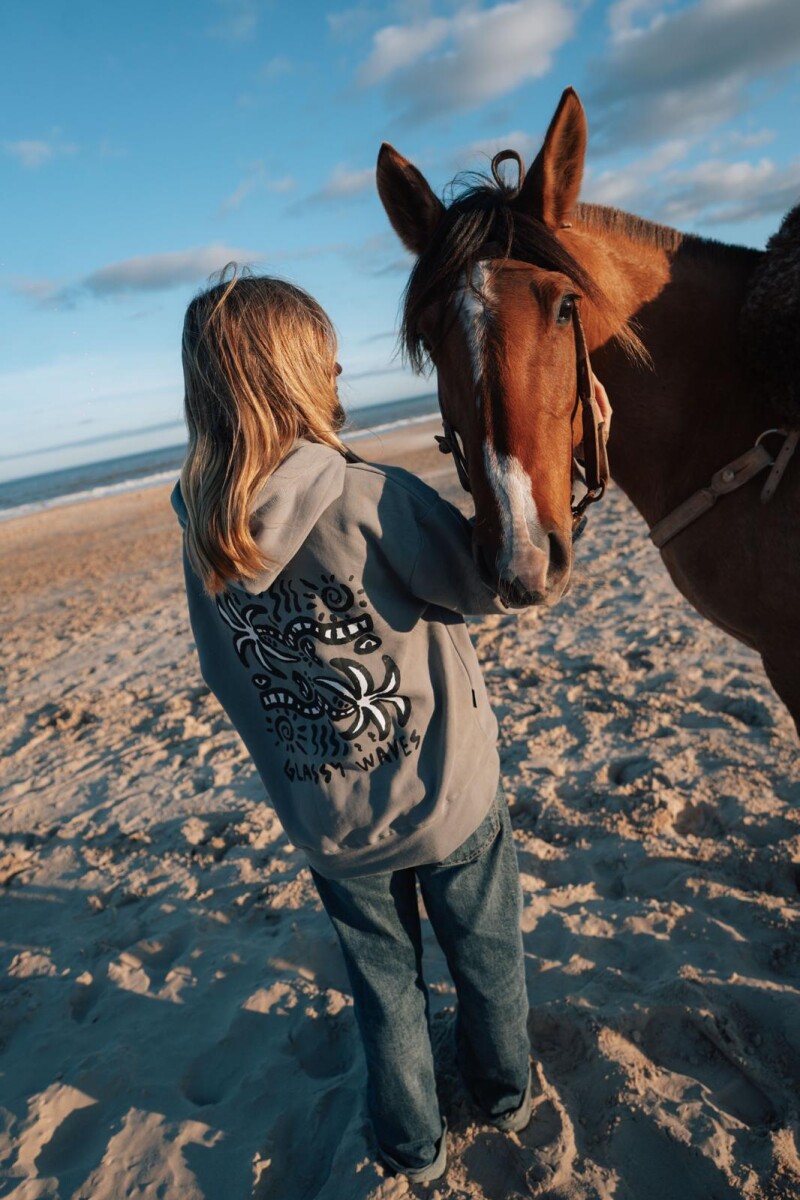 Hoodie Samba / Gris U