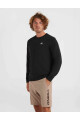 Buzo O'Neill Small Logo Crew Negro