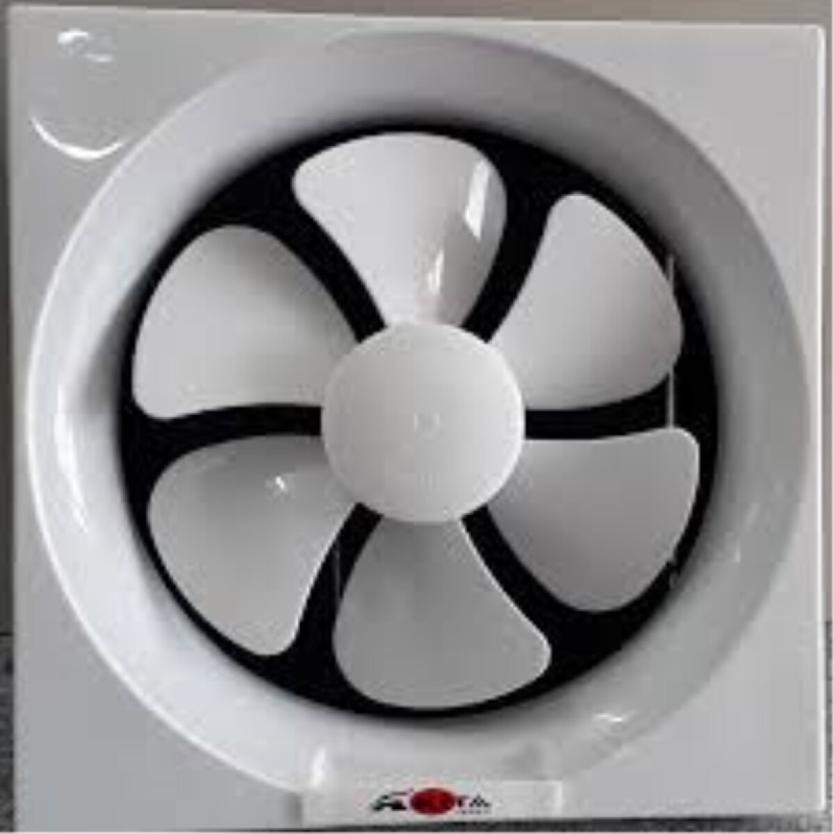 Extractor De Pared Akita 25cm Ef10p 