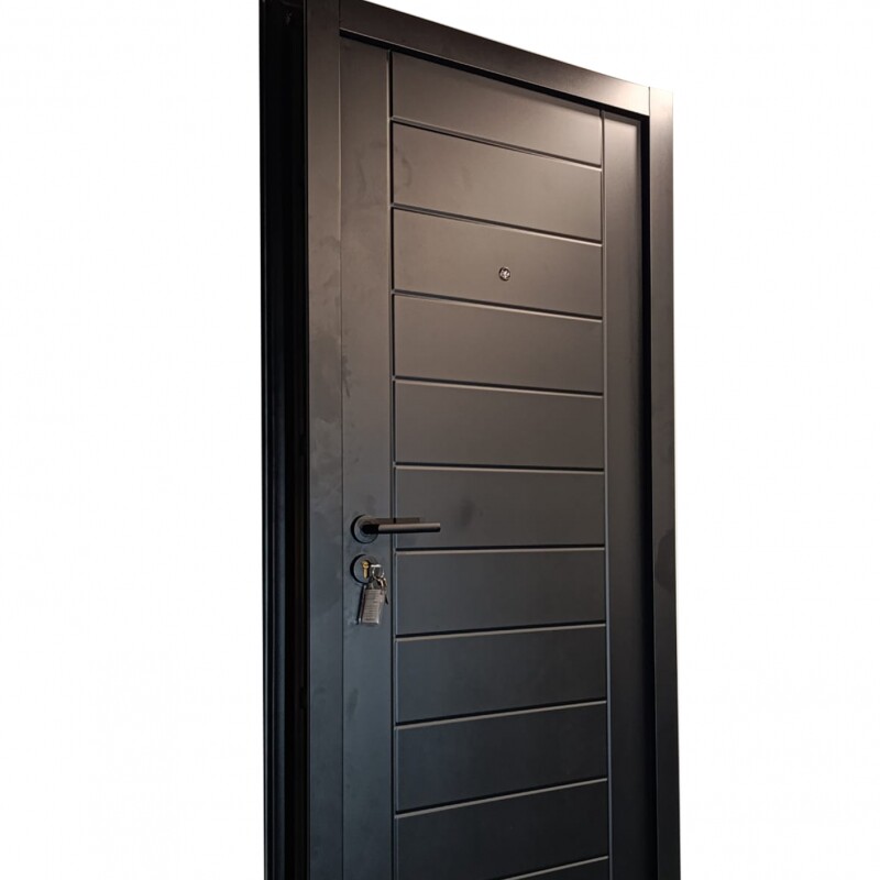 Puerta E03 Pestillo Semiblindada Puerta E03 Pestillo Semiblindada