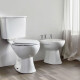 Griferia Bimando De Bidet Volante Cruz Serie Viterno Aqualia CROMO