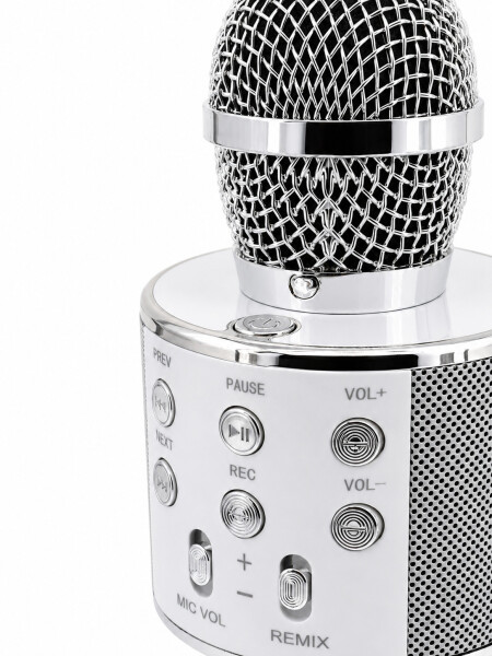 MICROFONO USB PLATEADO