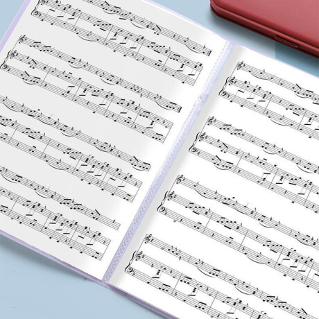 Carpeta Con 60 Folios Varios Colores Rosa