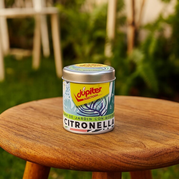 VELA CITRONELLA JUPITER VELA CITRONELLA JUPITER