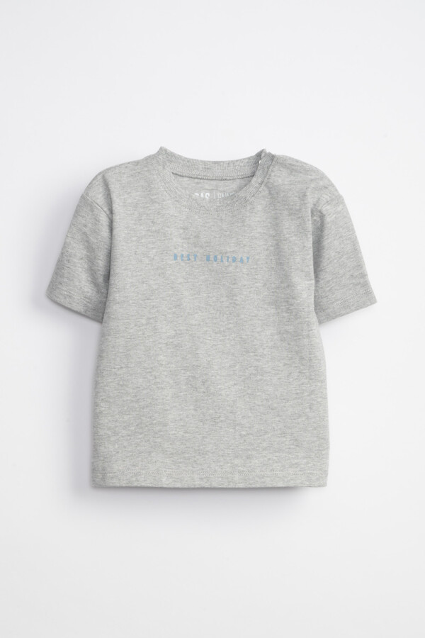 Remera oversize estampa Palmeras Gris