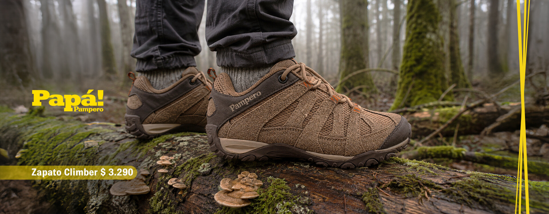 Zapato Climber