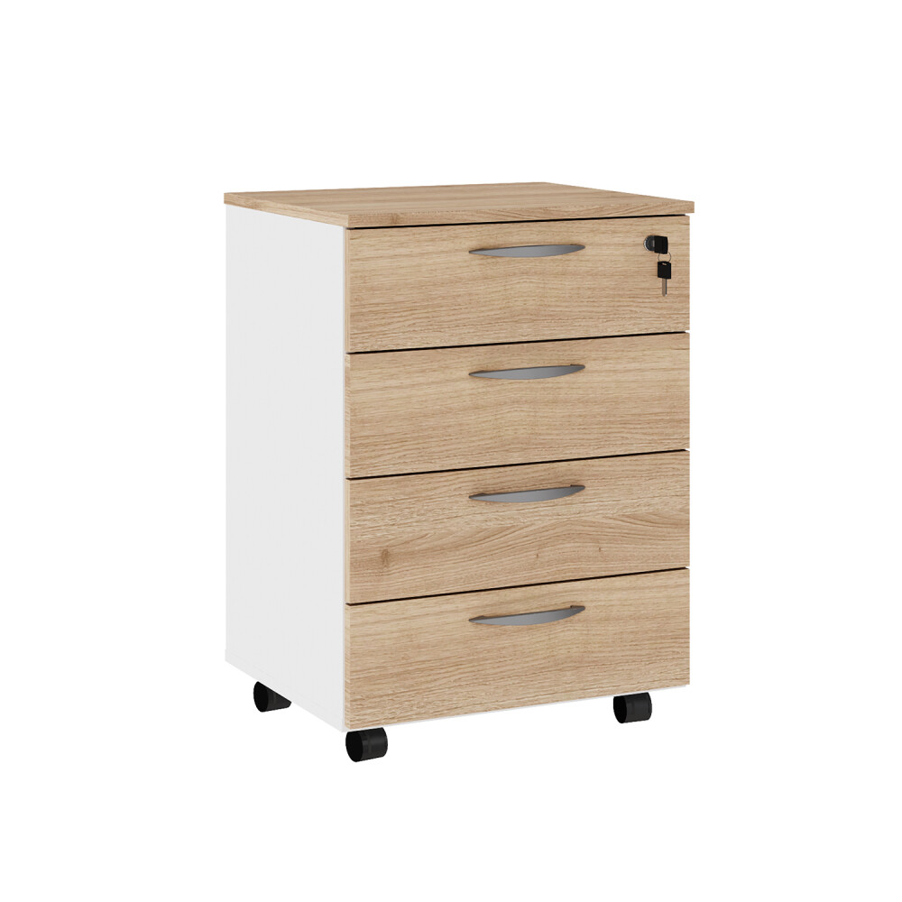 ARMARIO CORPORATIVO ORGANIZADOR 4 CAJONES CON LLAVE ARMARIO CORPORATIVO ORGANIZADOR 4 CAJONES CON LLAVE