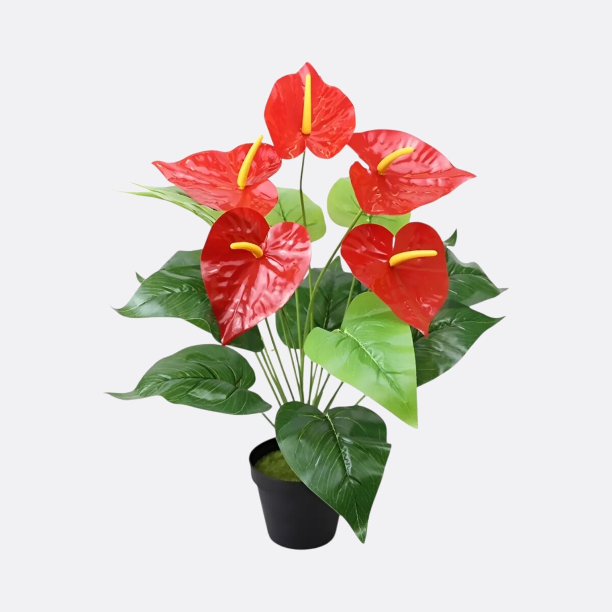 Planta Artificial Anturio Rojo 
