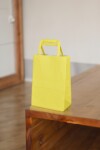 BOLSA LISA ACUARIO 14X08X20 cm AMARILLO