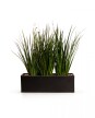 KIT Jardinera "Negro mate" 1m* 30cm* 30cm* con Dietes, Sustratos y cubresuelo