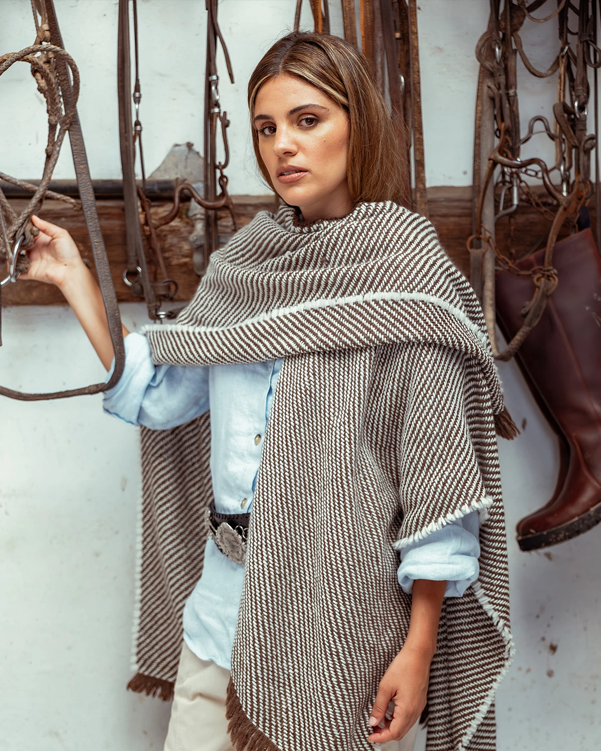 Merino Chall - 5