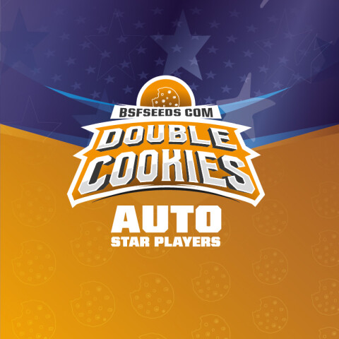 AUTO - DOUBLE COOKIES X4 UNIDADES
