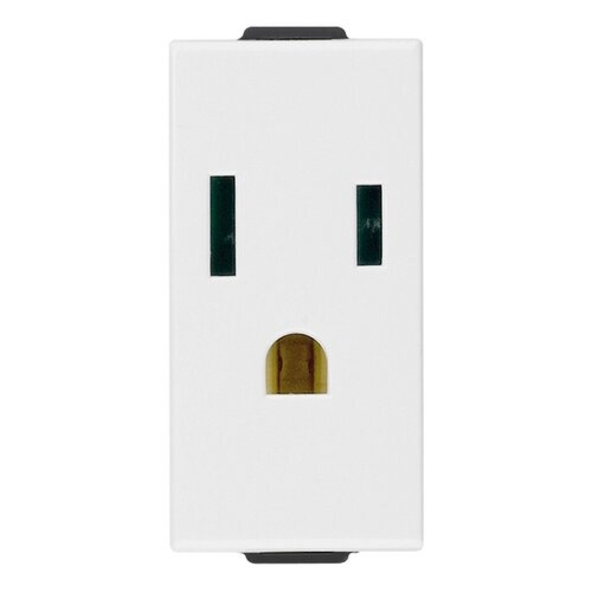 MODULO TOMA POLARIZADA 2x16A+T BLANCO NEVE UP 