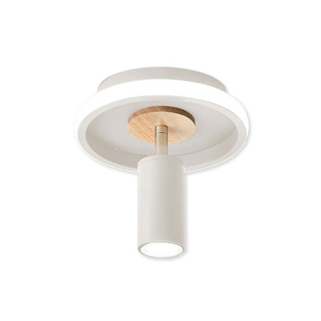 LUMINARIA DE ADOSAR ORIENTABLE CANNES Lampara de Techo Downlight Cannes