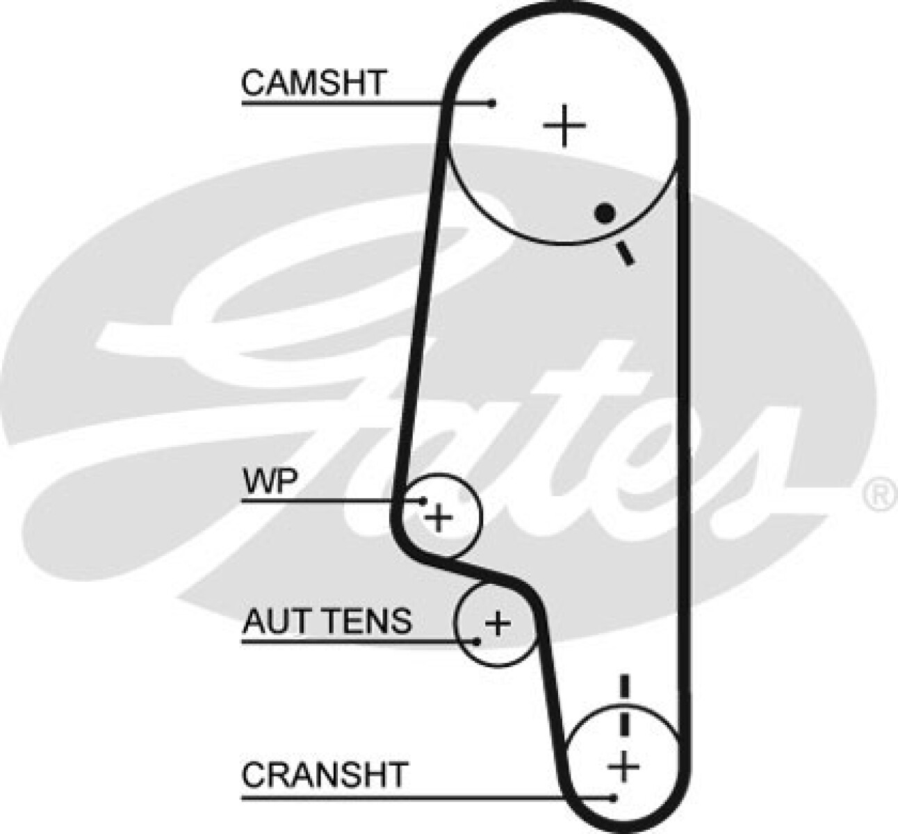 CORREA DISTRIBUCION - VW POLO NAFTA MOTOR AEE-ALM 97/ GATES 