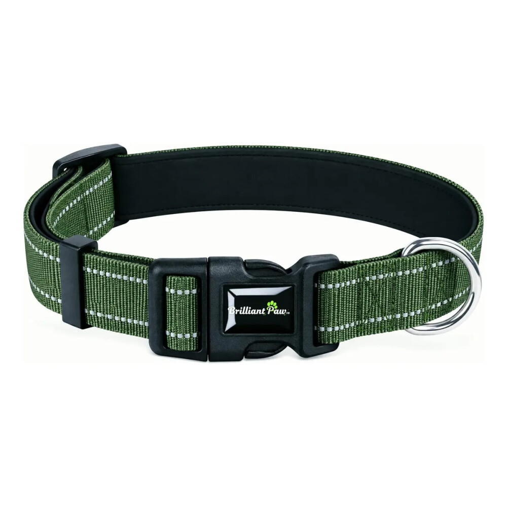 Collar Para Mascotas Talle M Refractario VERDE