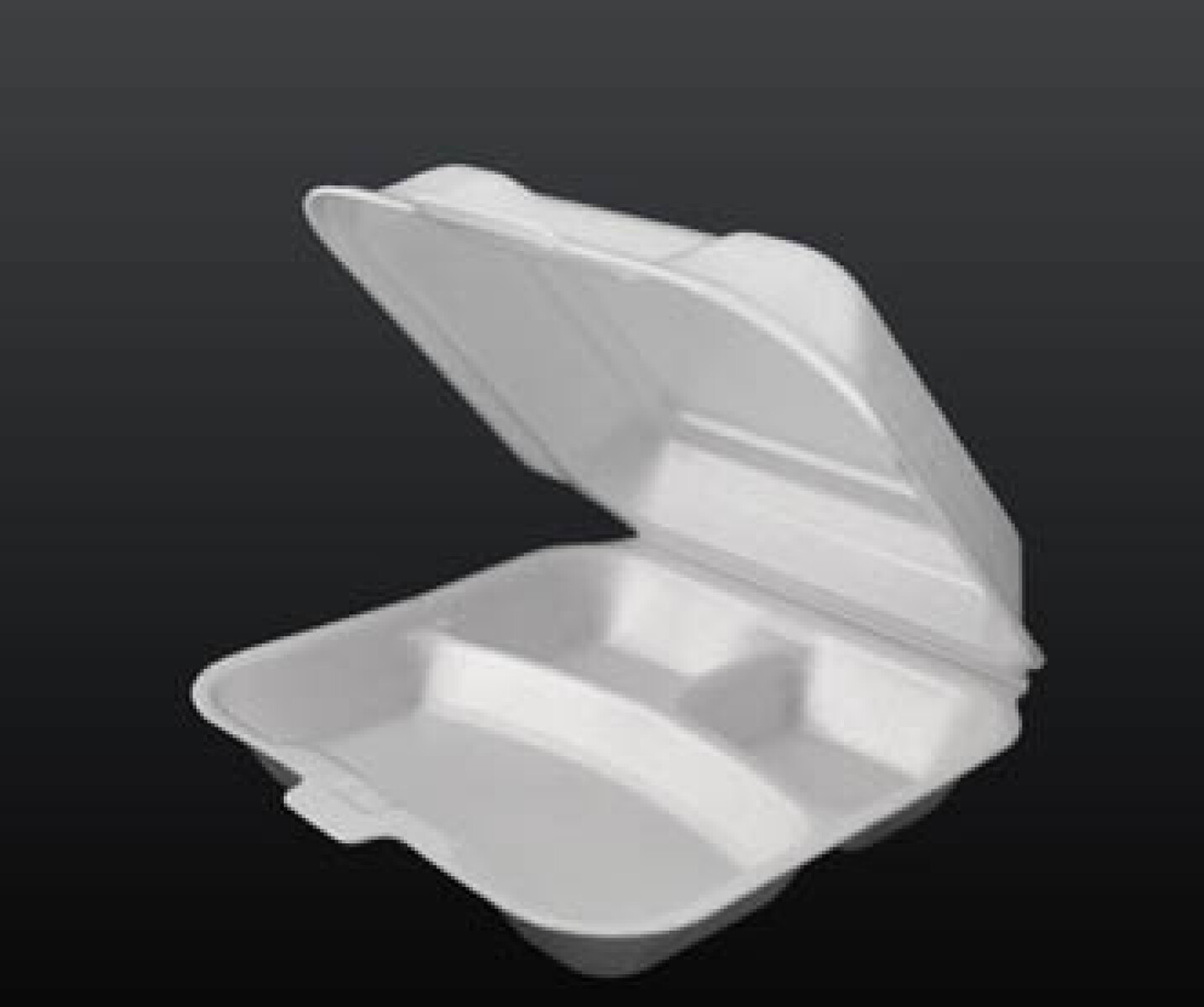 BANDEJA DE ESPUMA BLANCA CON TAPA BISAGRA Y 3 DIVISIONES 21X18X7 CM. 