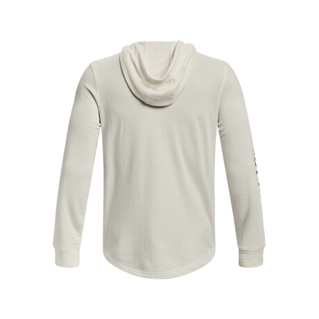 BUZO UNDER ARMOUR PROJECT ROCK TERRY Beige