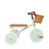 BW-TRIKE Triciclo - Pale Mint