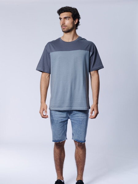 Remera bloque Gris