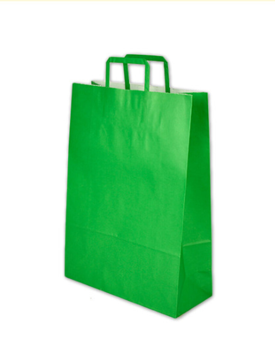Bolsa lisa acuario 30x12x41 cm - VERDE 